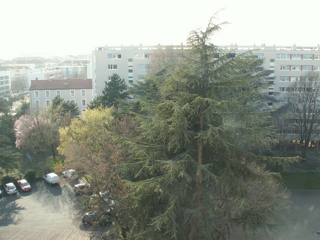 Estudio Independiente Villeurbanne 22168