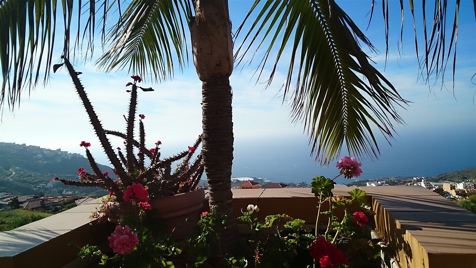 Bed And Breakfast Icod de los Vinos 138458