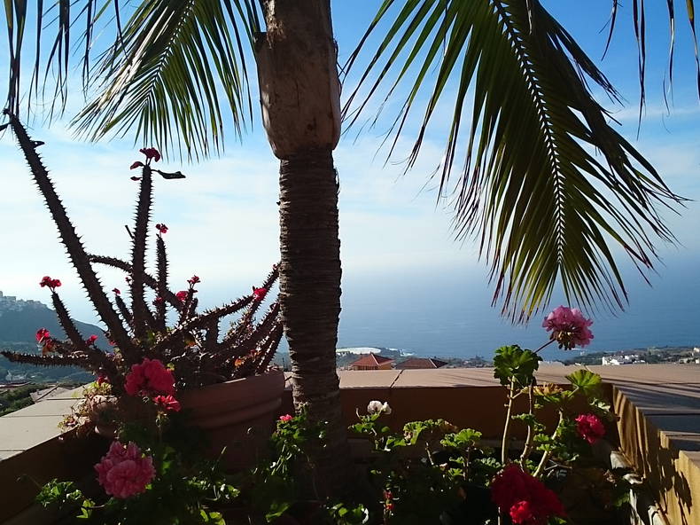 Bed And Breakfast Icod de los Vinos 138458-3