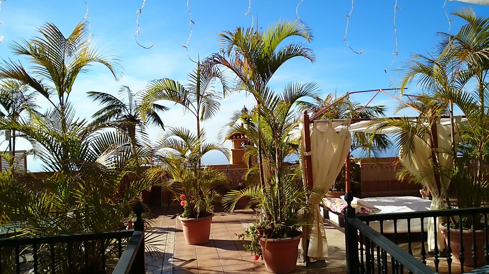 Bed And Breakfast Icod de los Vinos 138458