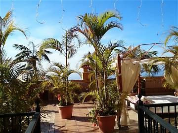 Chambre D'hôte Icod De Los Vinos 138458-6