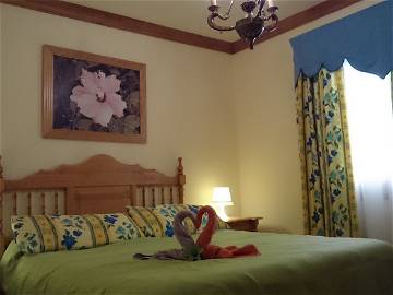 Chambre D'hôte Icod De Los Vinos 138458-7