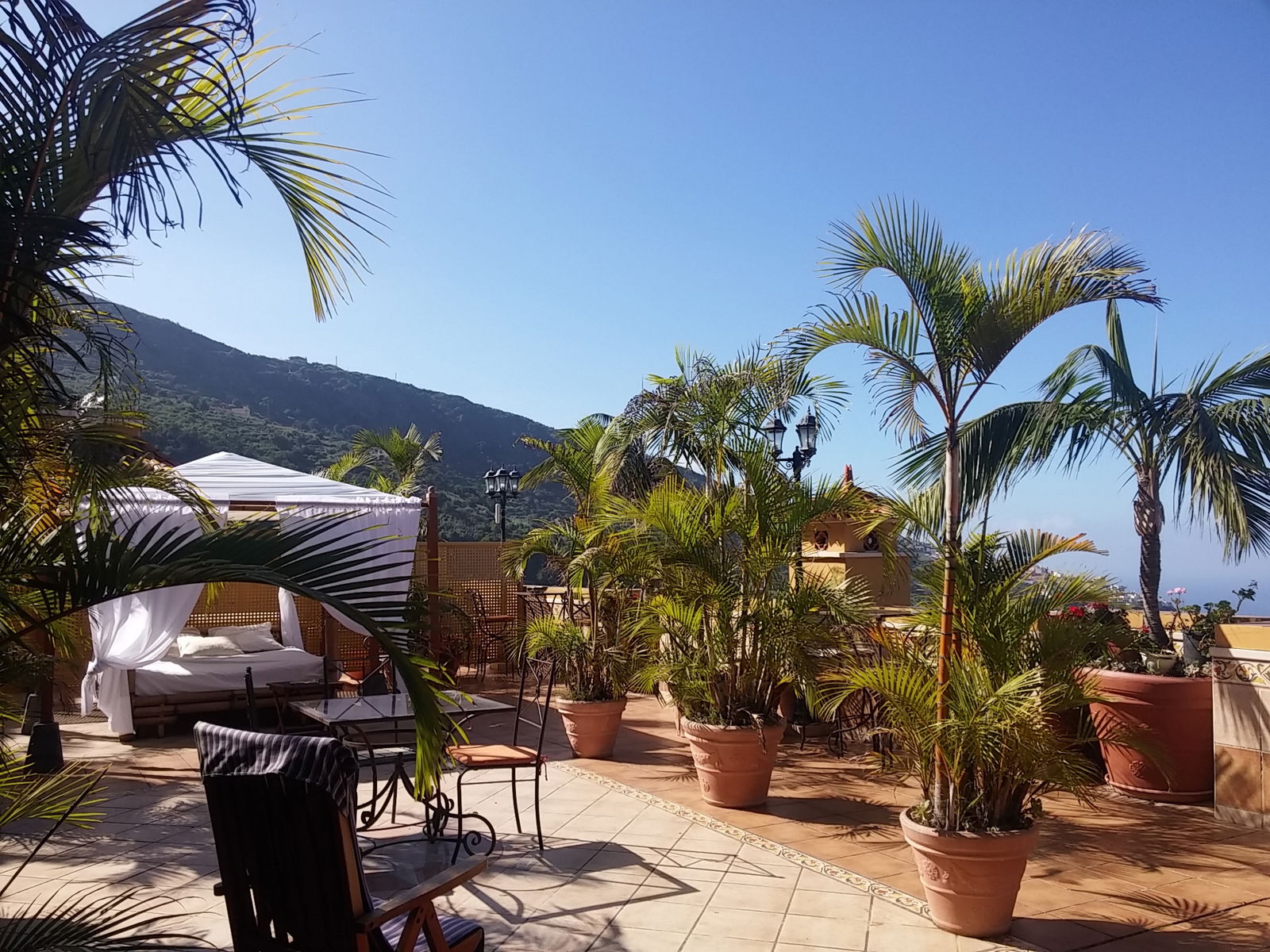 Bed And Breakfast Icod de los Vinos 138458