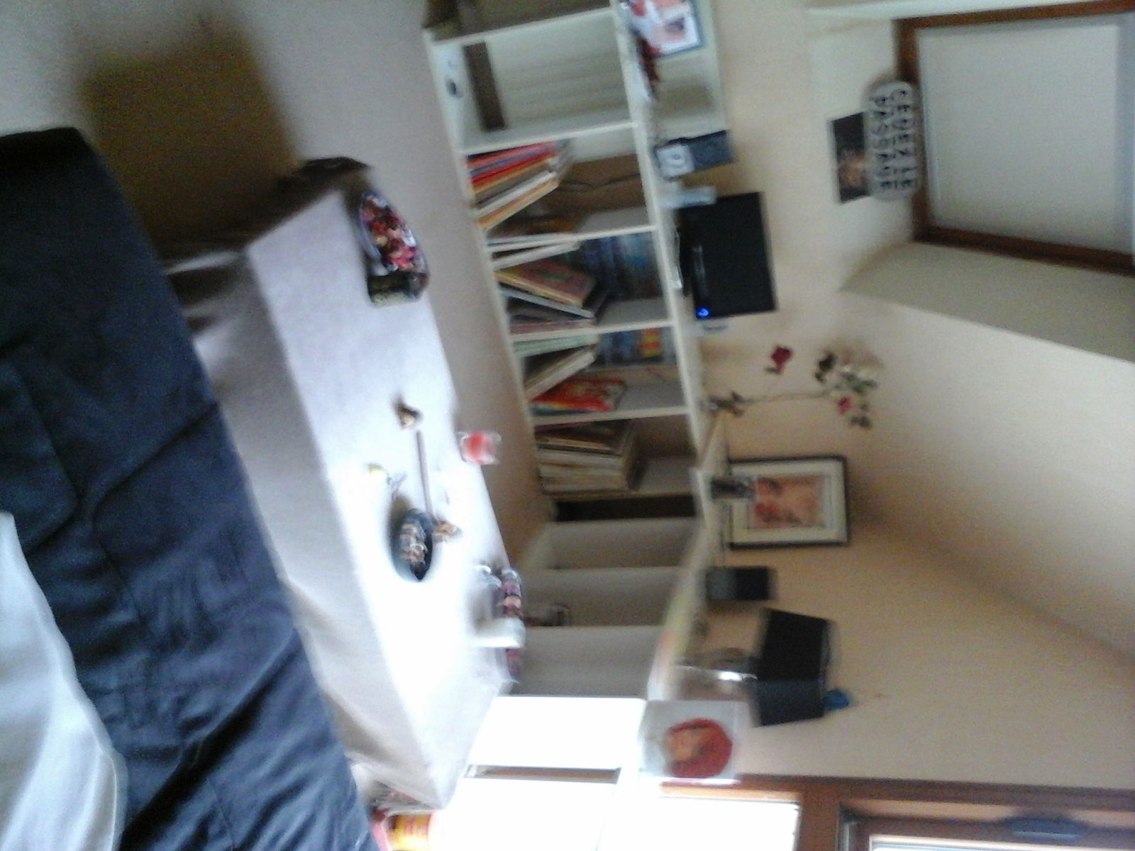 Colocación Plérin 73209