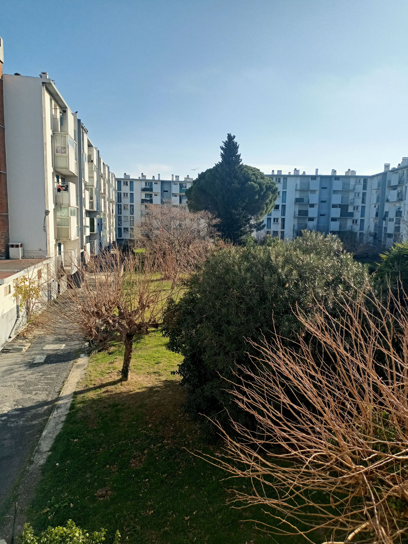 Colocación Perpignan 258117