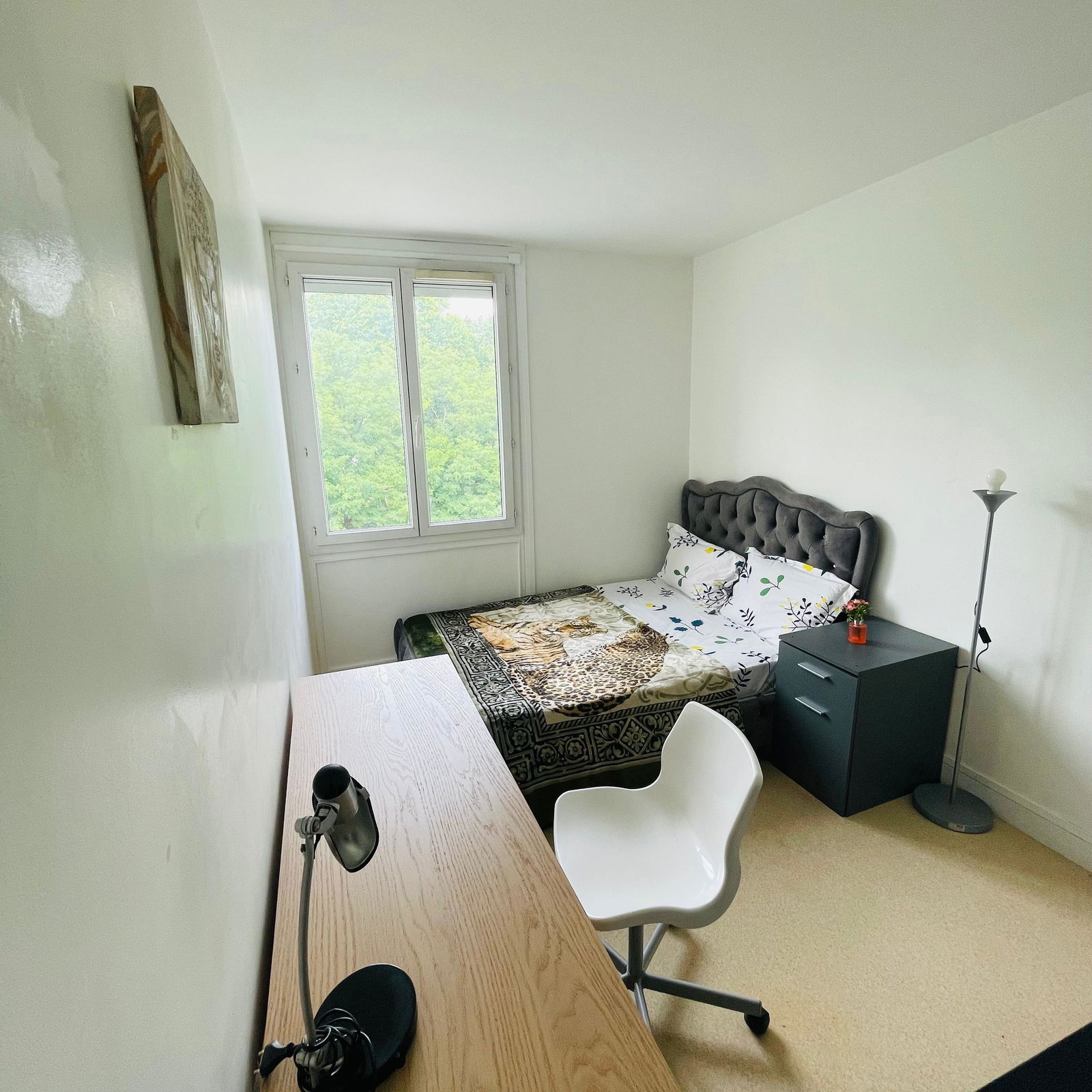 Colocación Champigny-sur-Marne 545211