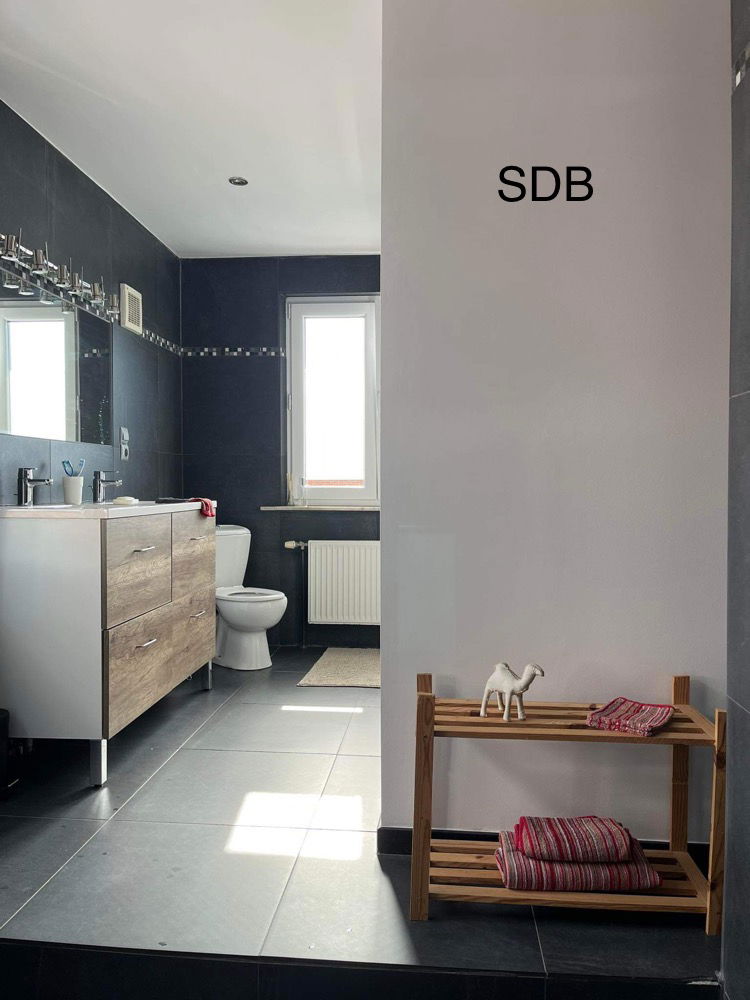 Colocación Tournai 303898