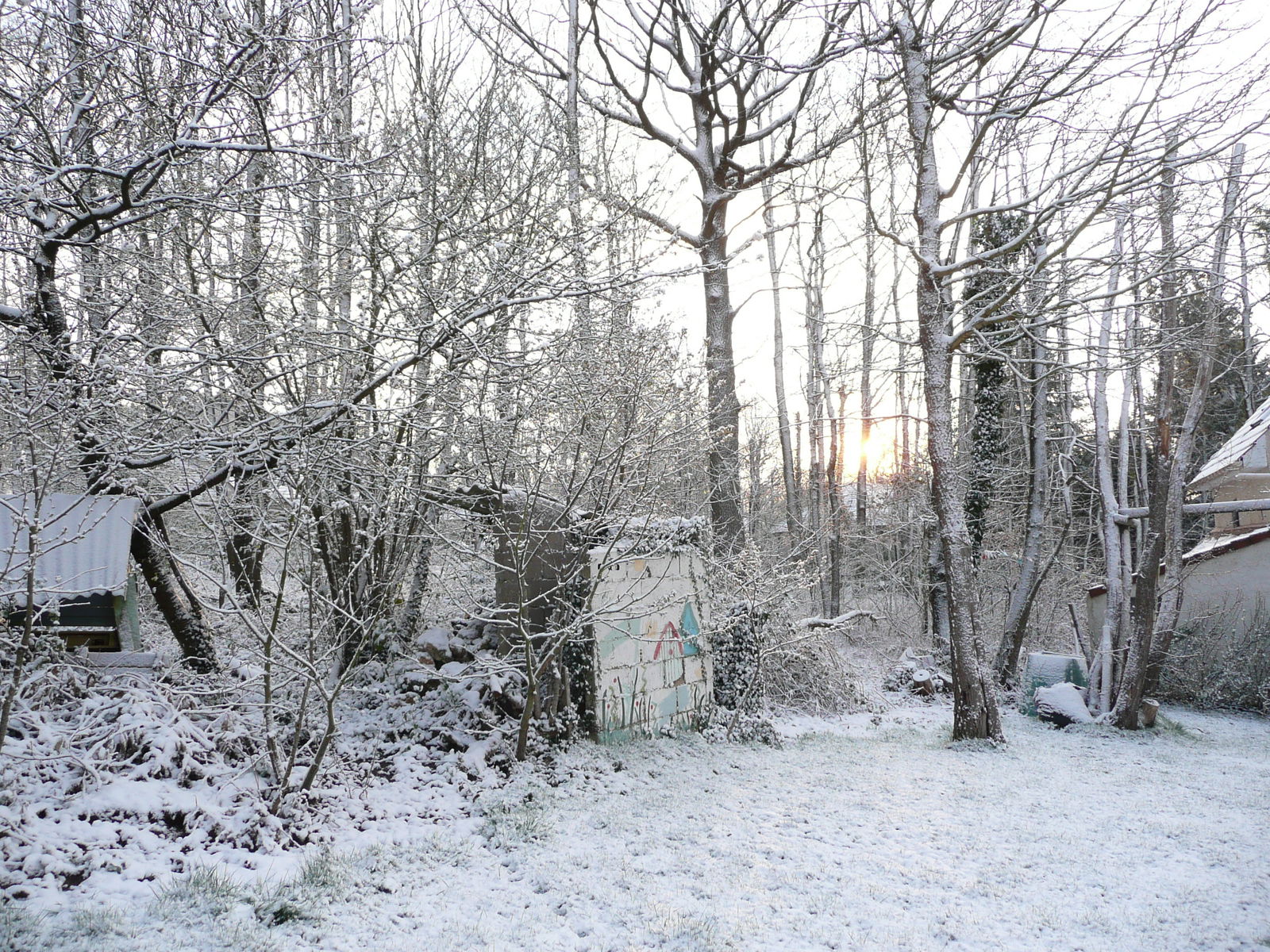 Colocación Les Essarts-le-Roi 185966