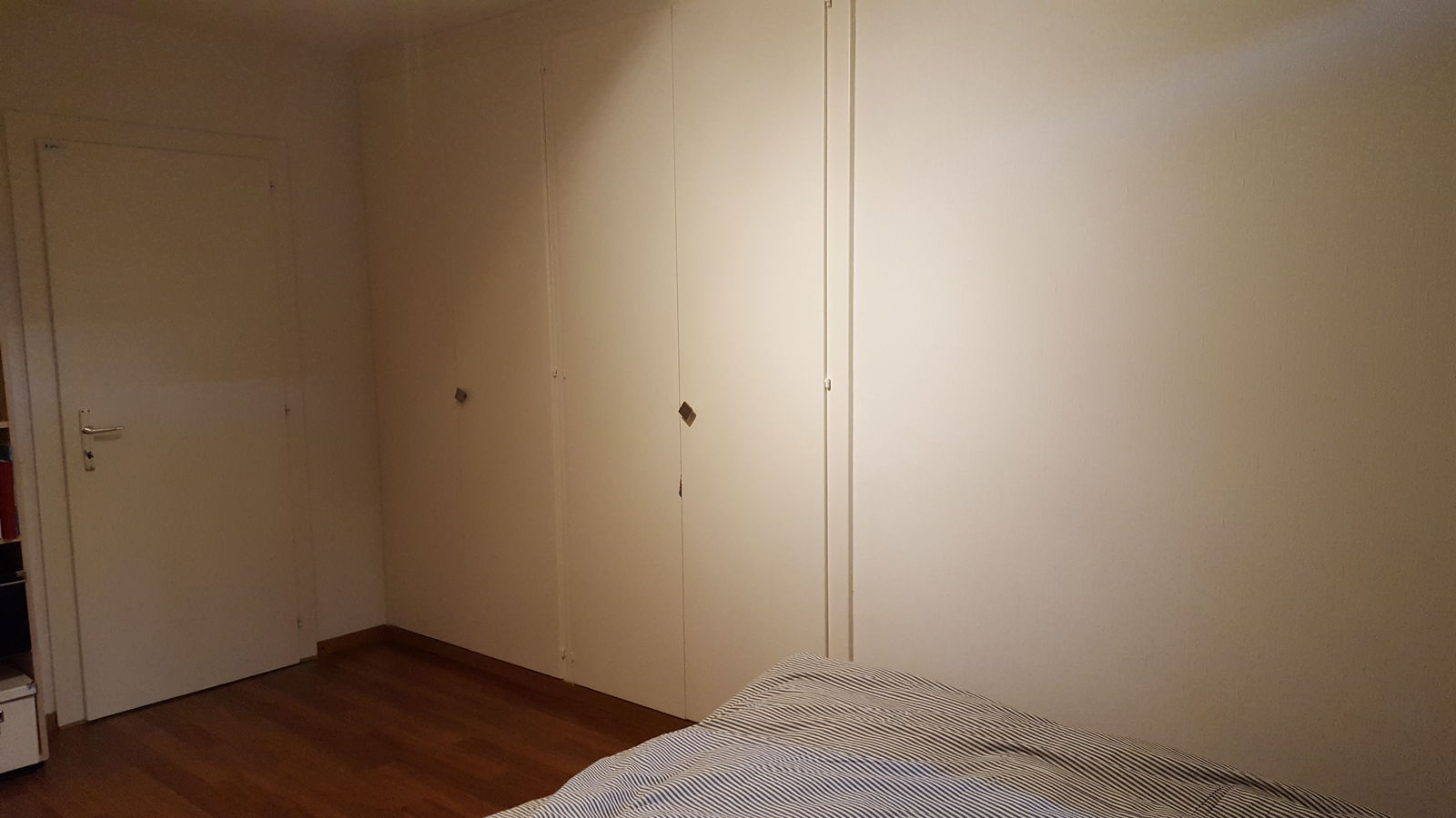 Colocación Bernex 134914