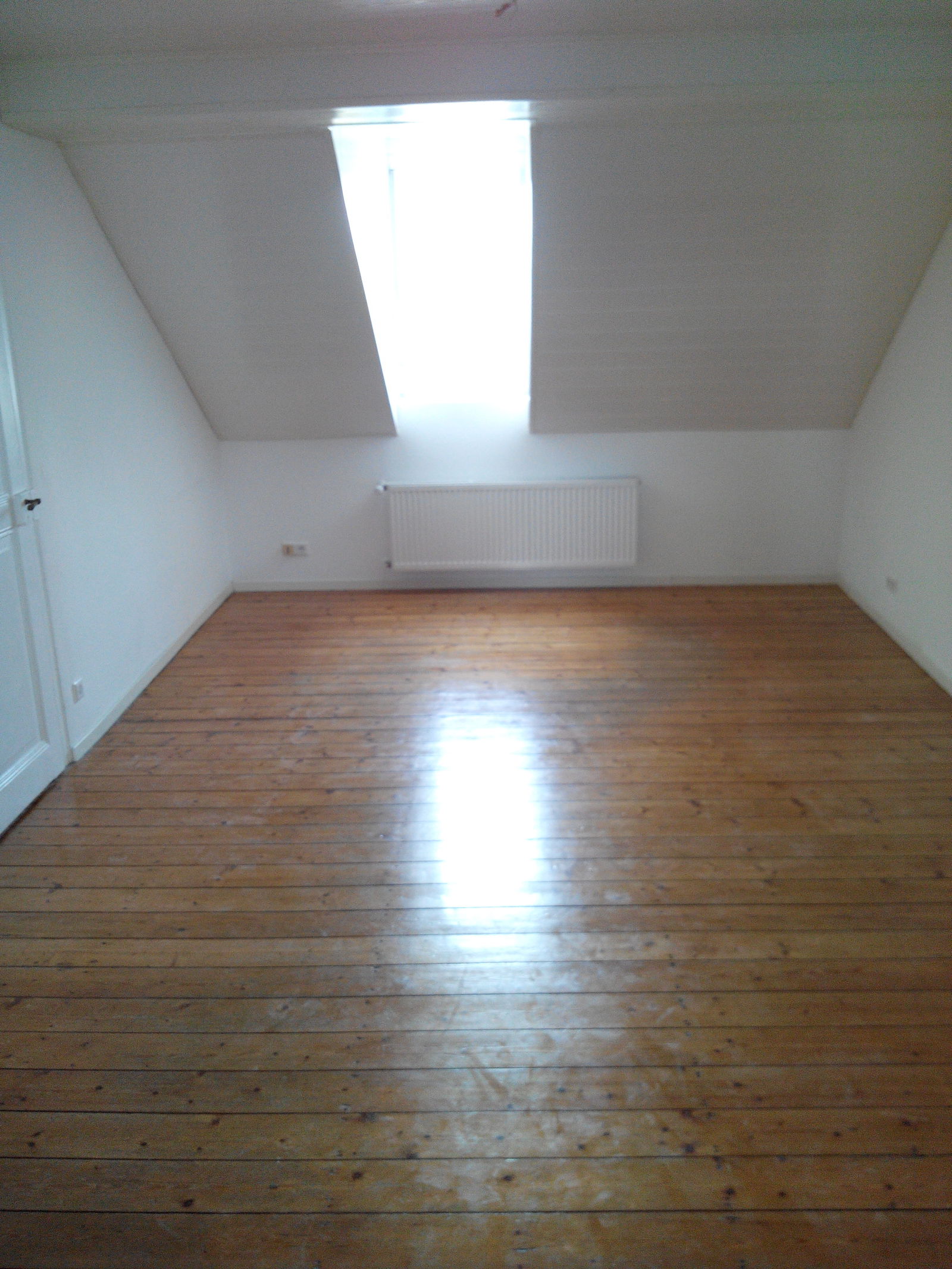 Colocación Strasbourg 70773