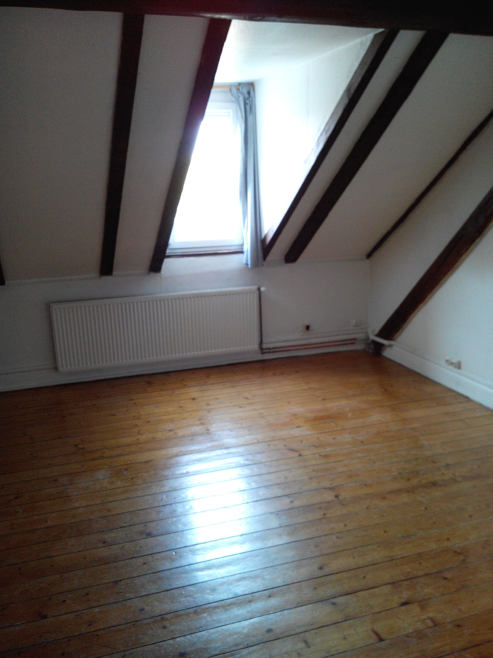 Colocación Strasbourg 70773