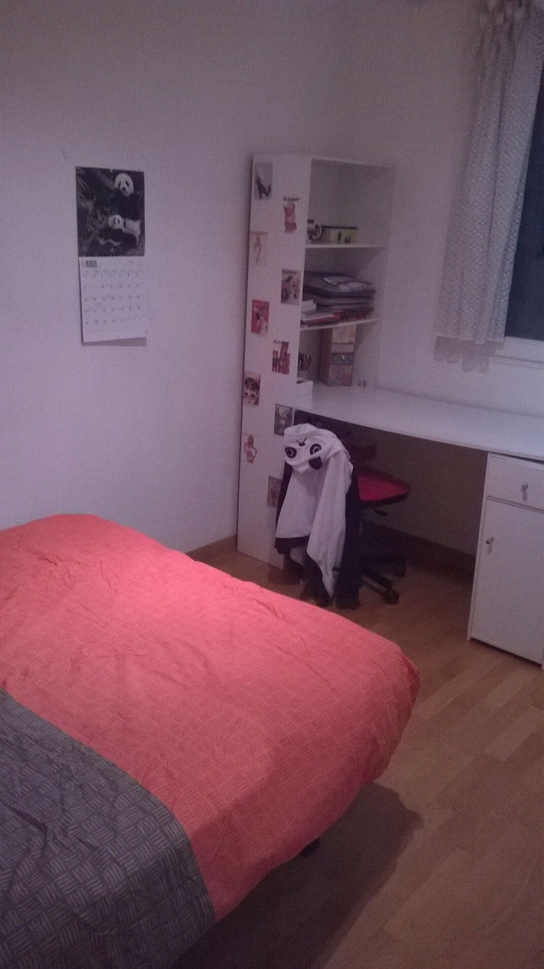 Colocación Lyon 130975