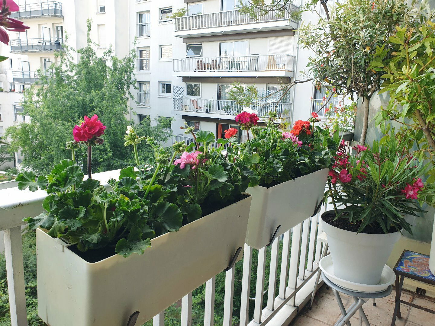 Colocación Paris 246560