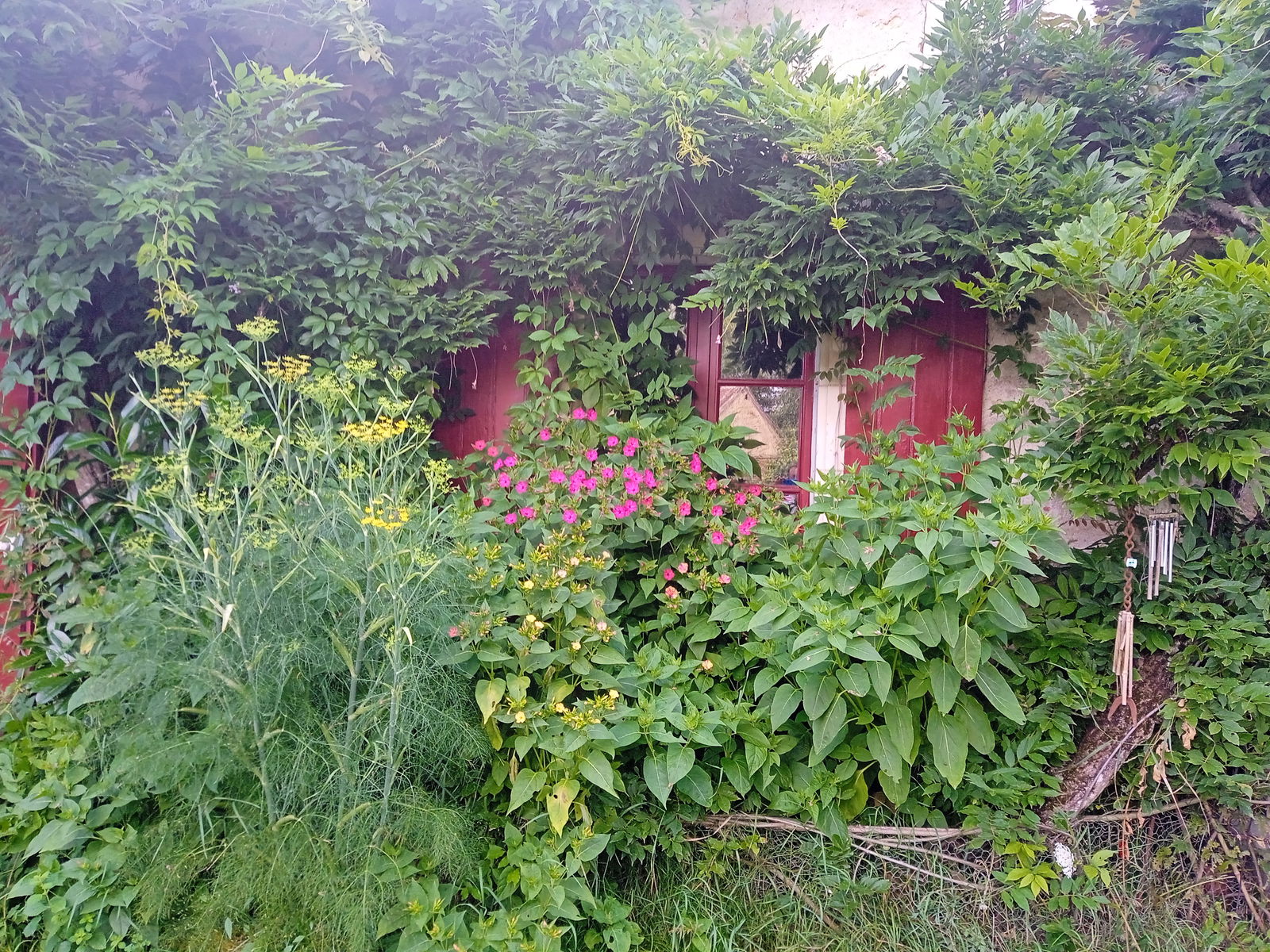 Colocación Villedômain 421731
