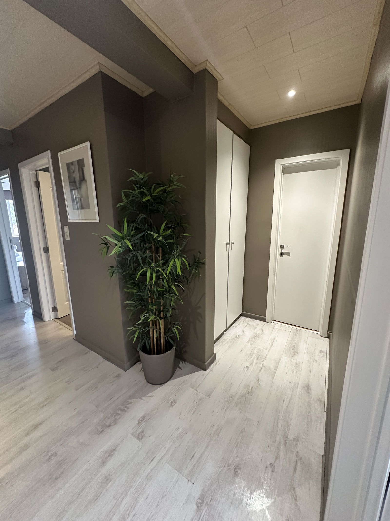 Colocación Charleroi 617858