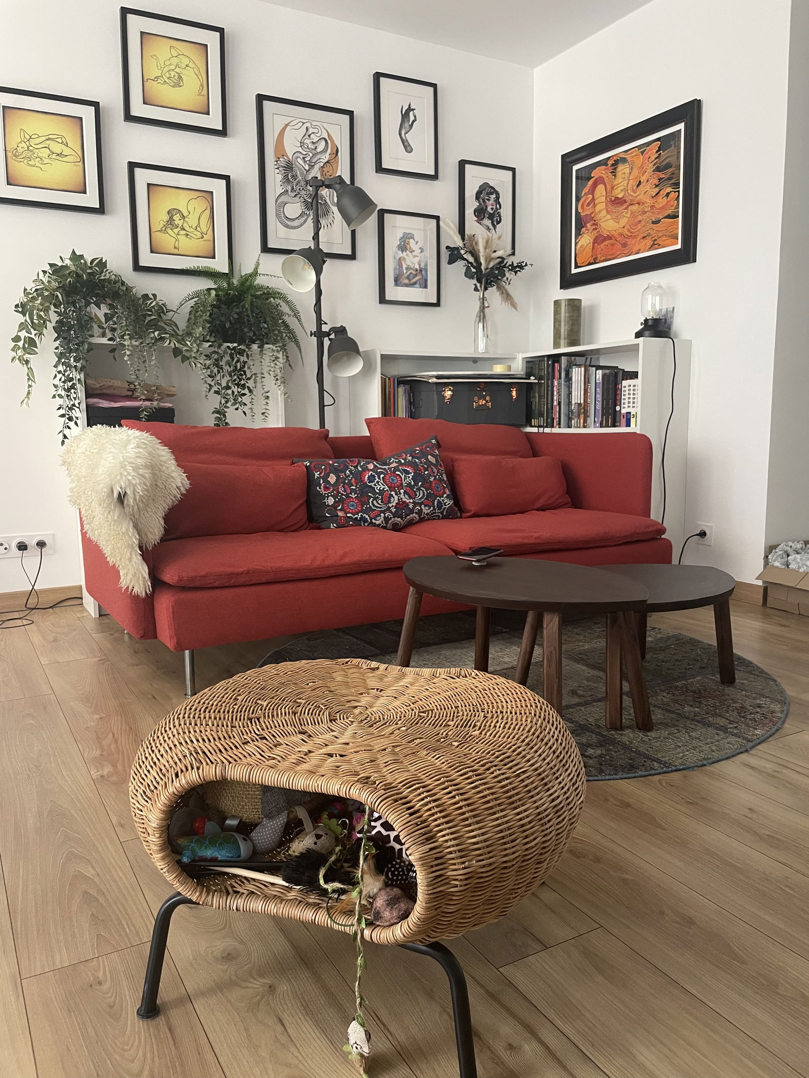 Colocación Nice 577629