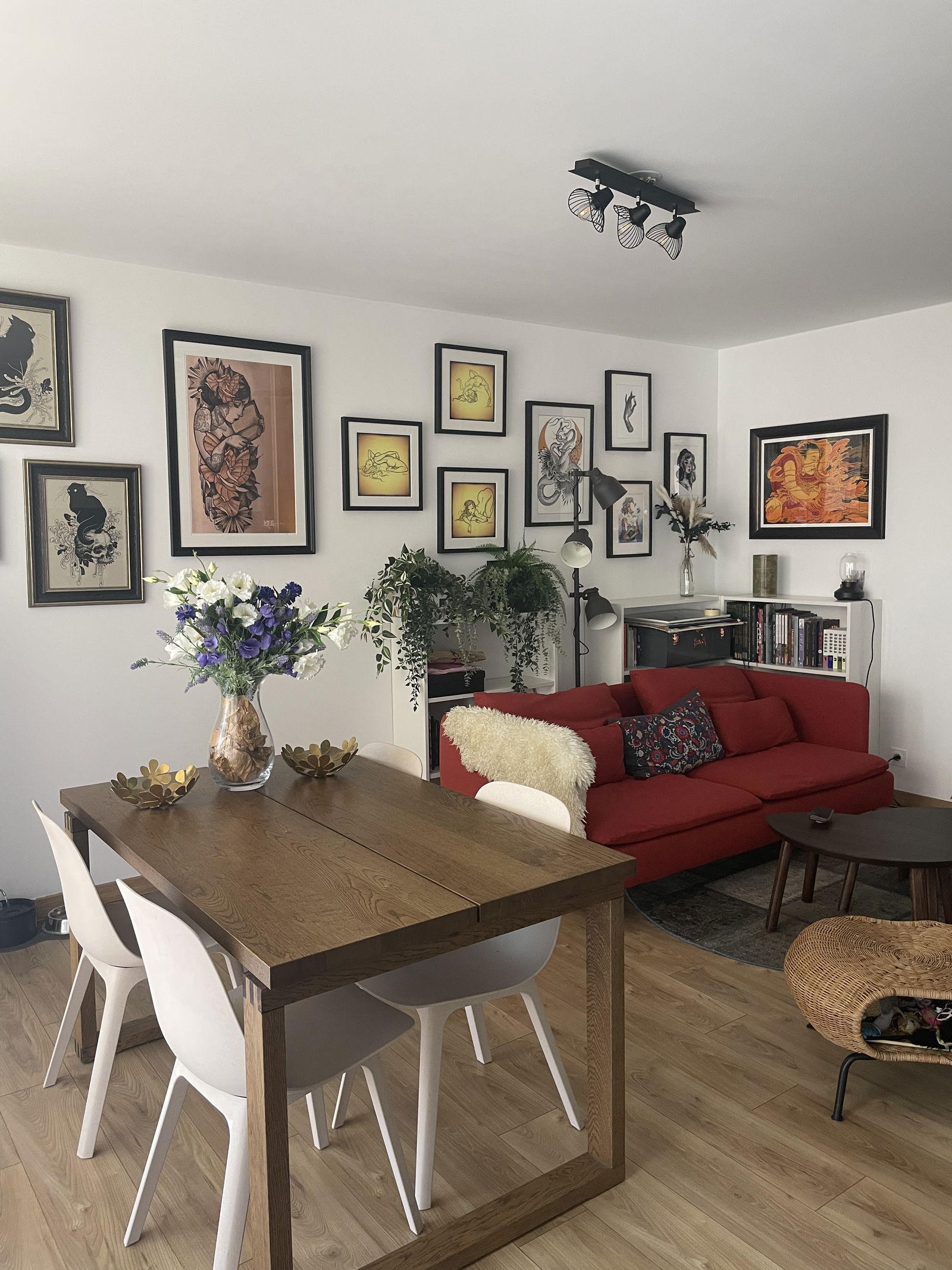 Colocación Nice 577629