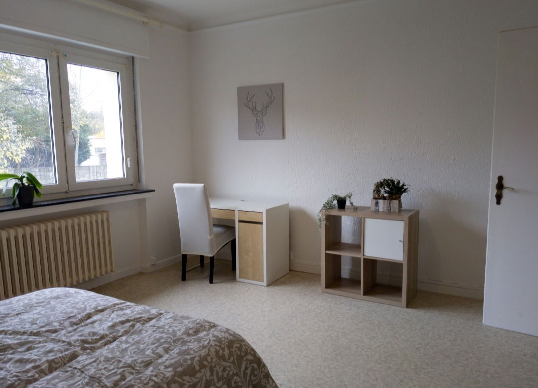 Colocación Thionville 447076