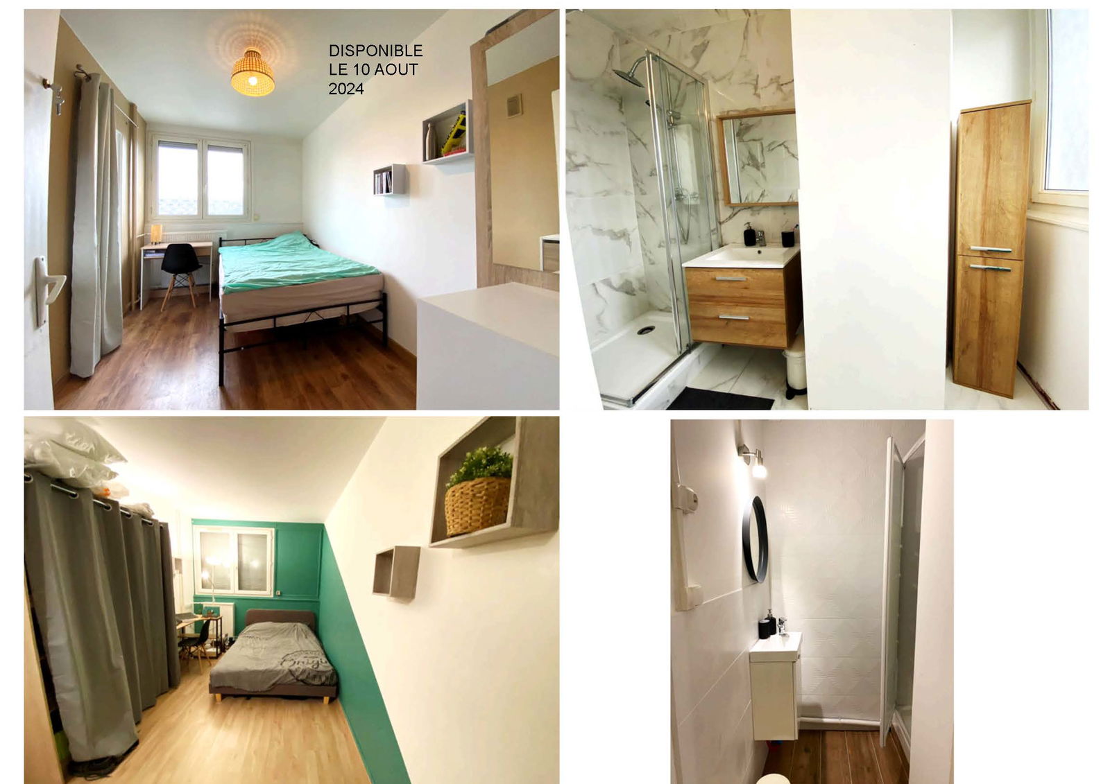 Colocación Saint-Étienne 391839