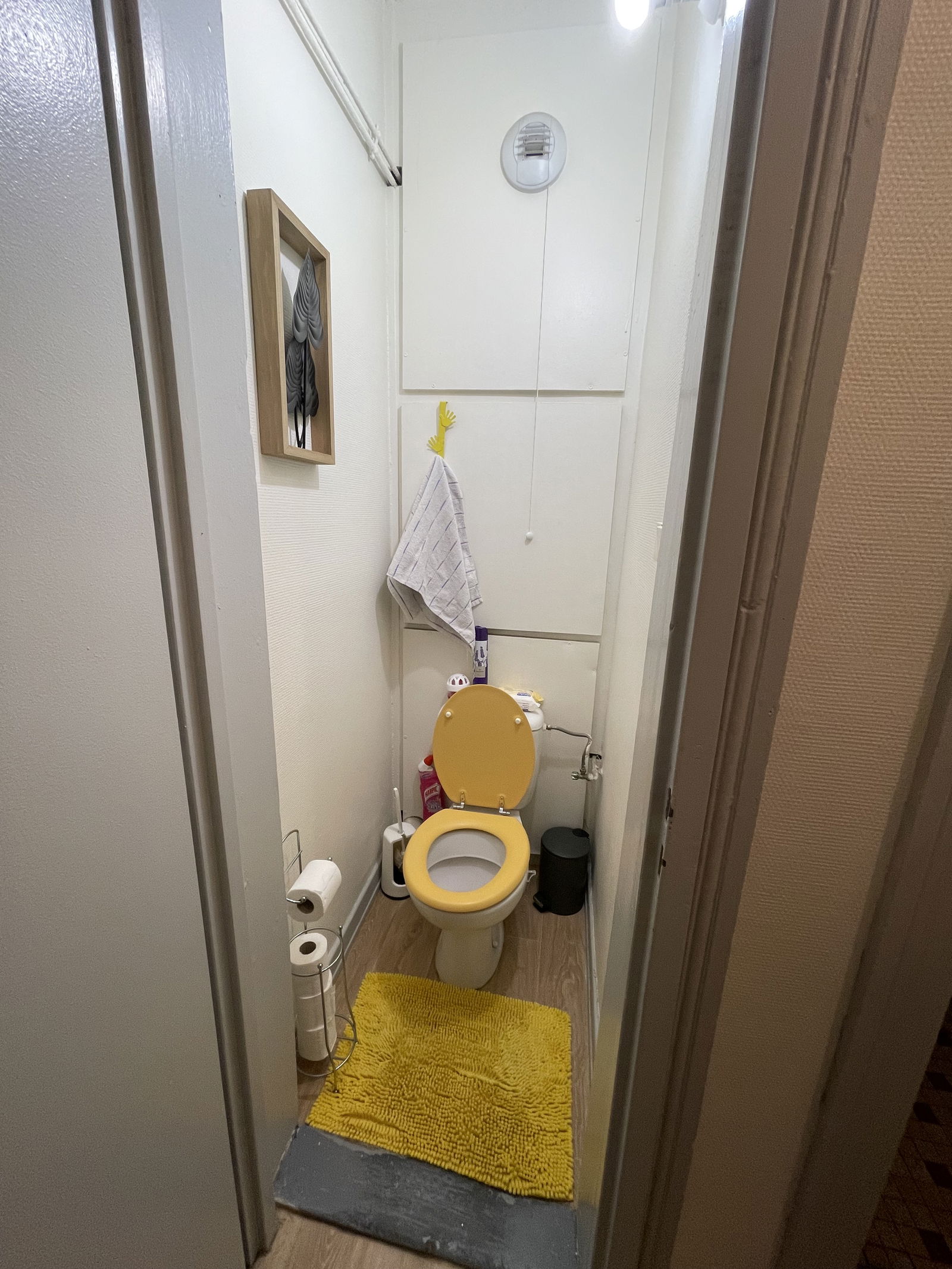 Colocación Strasbourg 246725