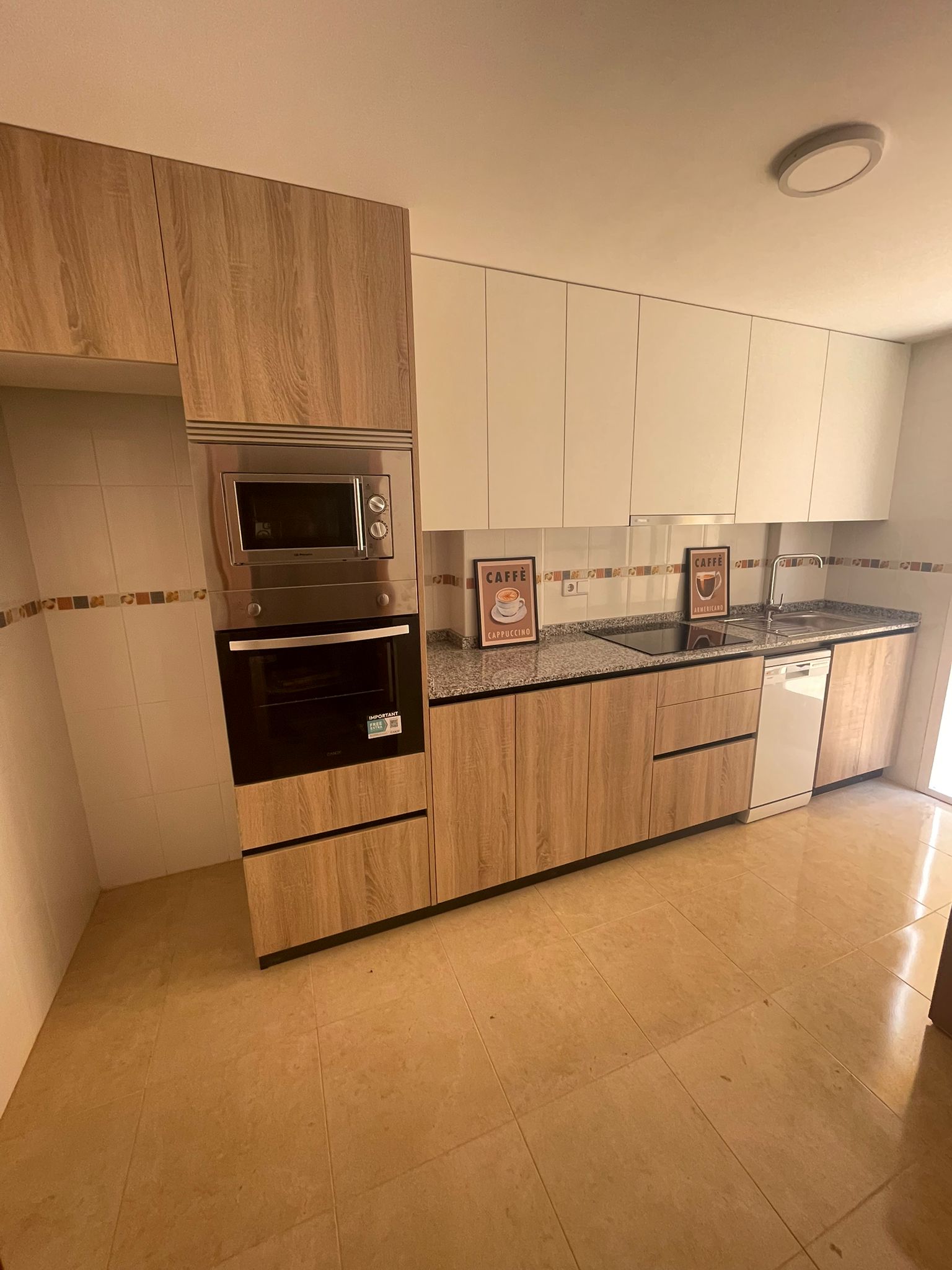 Colocación Orihuela 317466