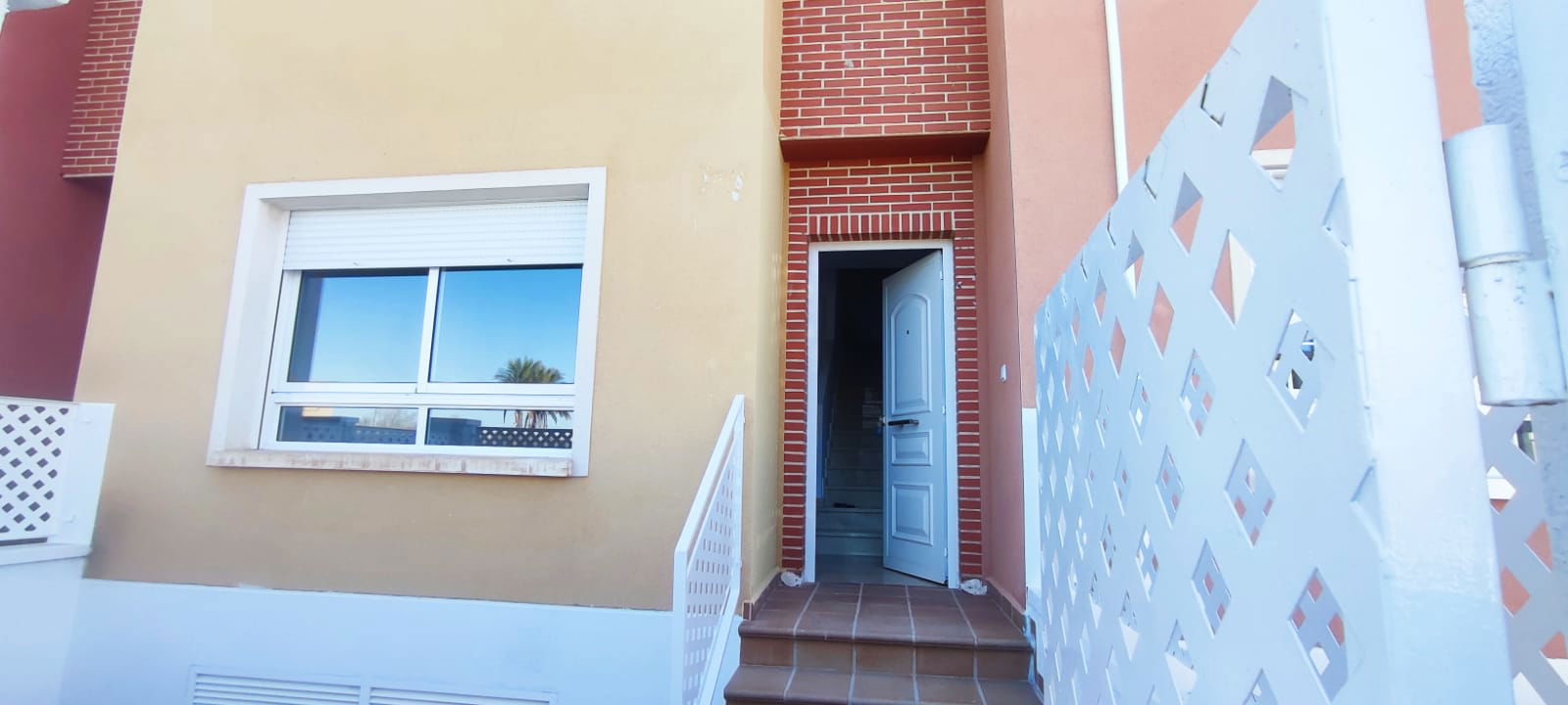 Colocación Orihuela 317466