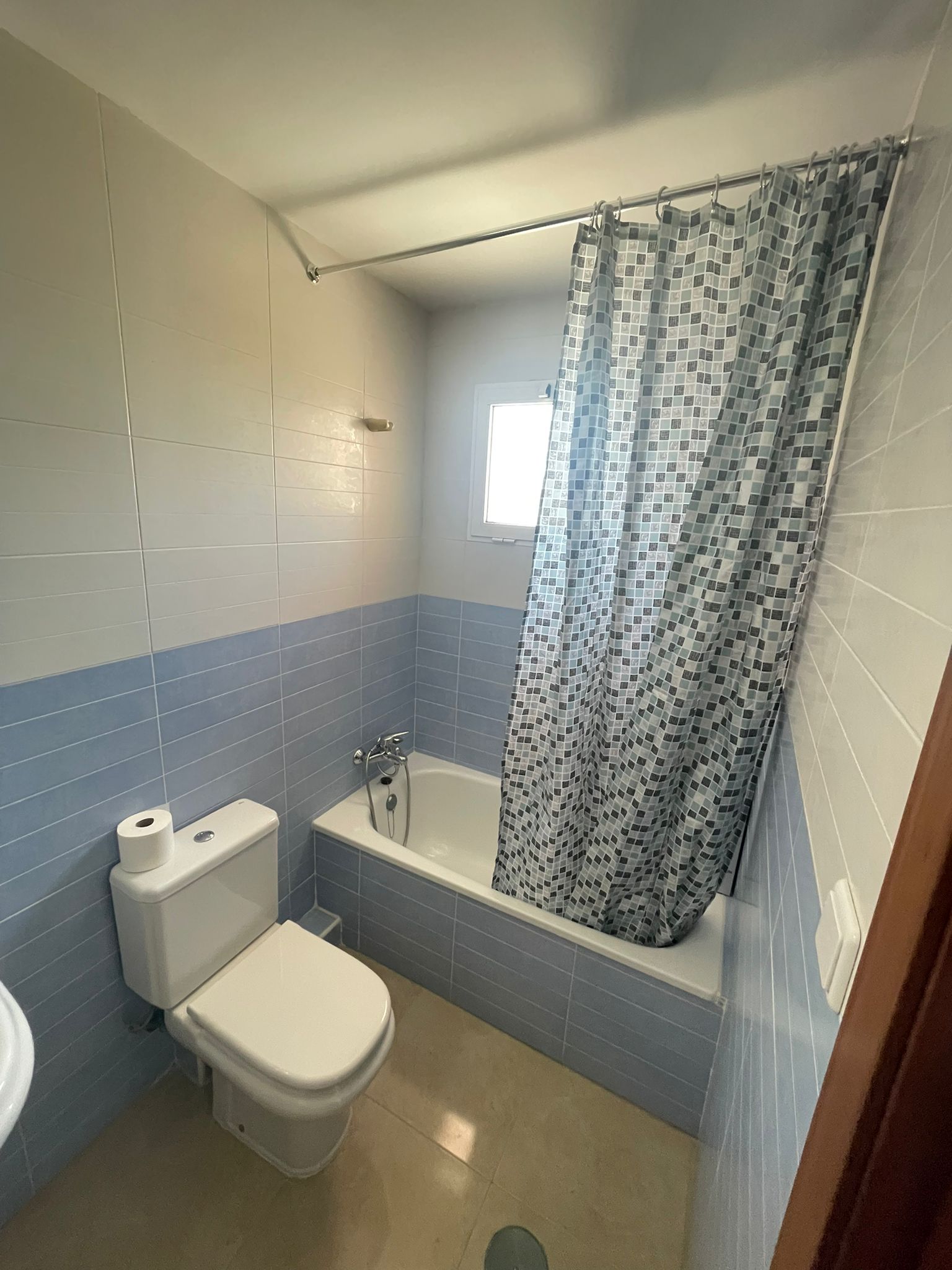 Colocación Orihuela 317466