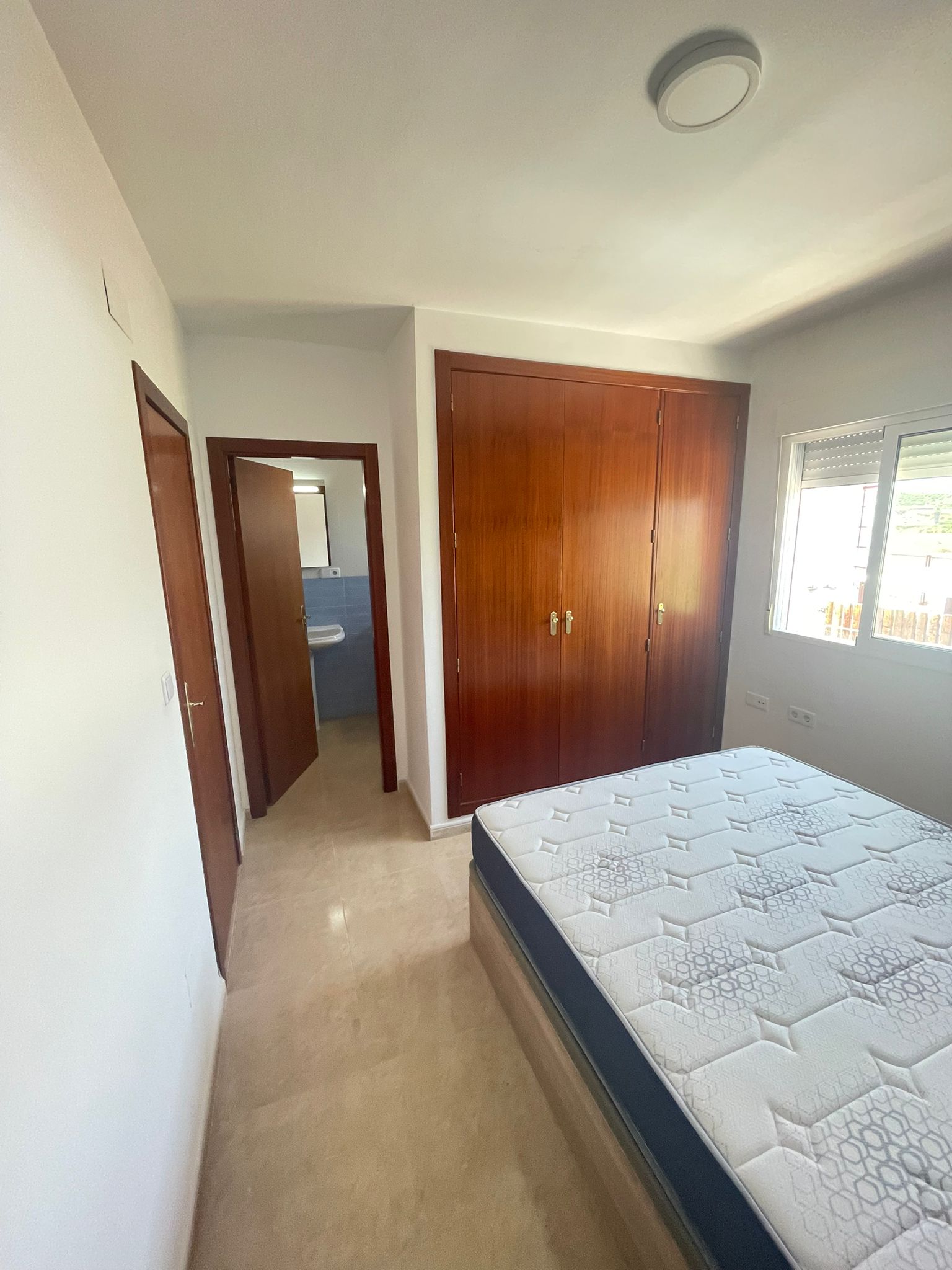 Colocación Orihuela 317466
