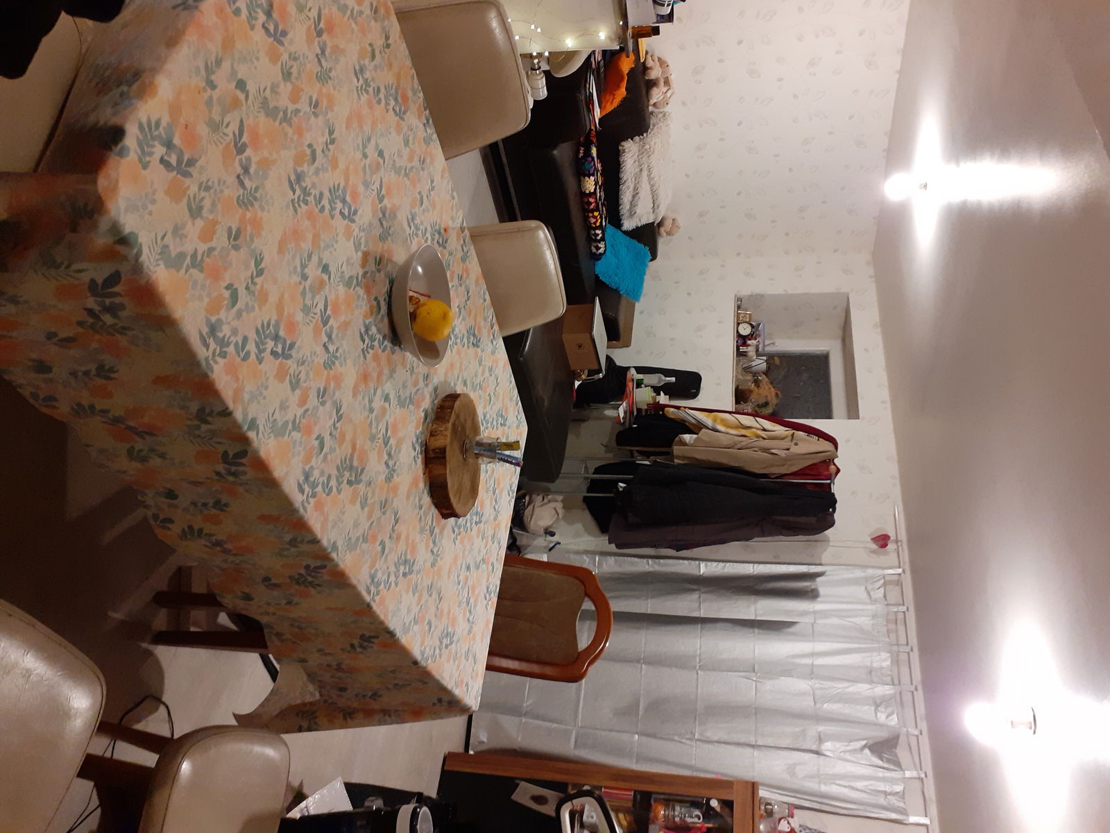 Estudio Independiente Bust 256046