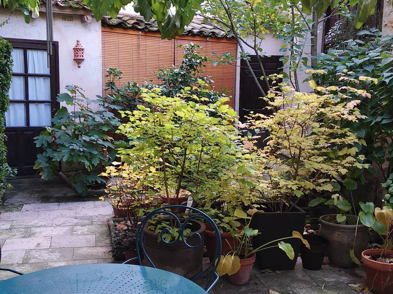 Bed And Breakfast Campillo de Aranda 56871-4