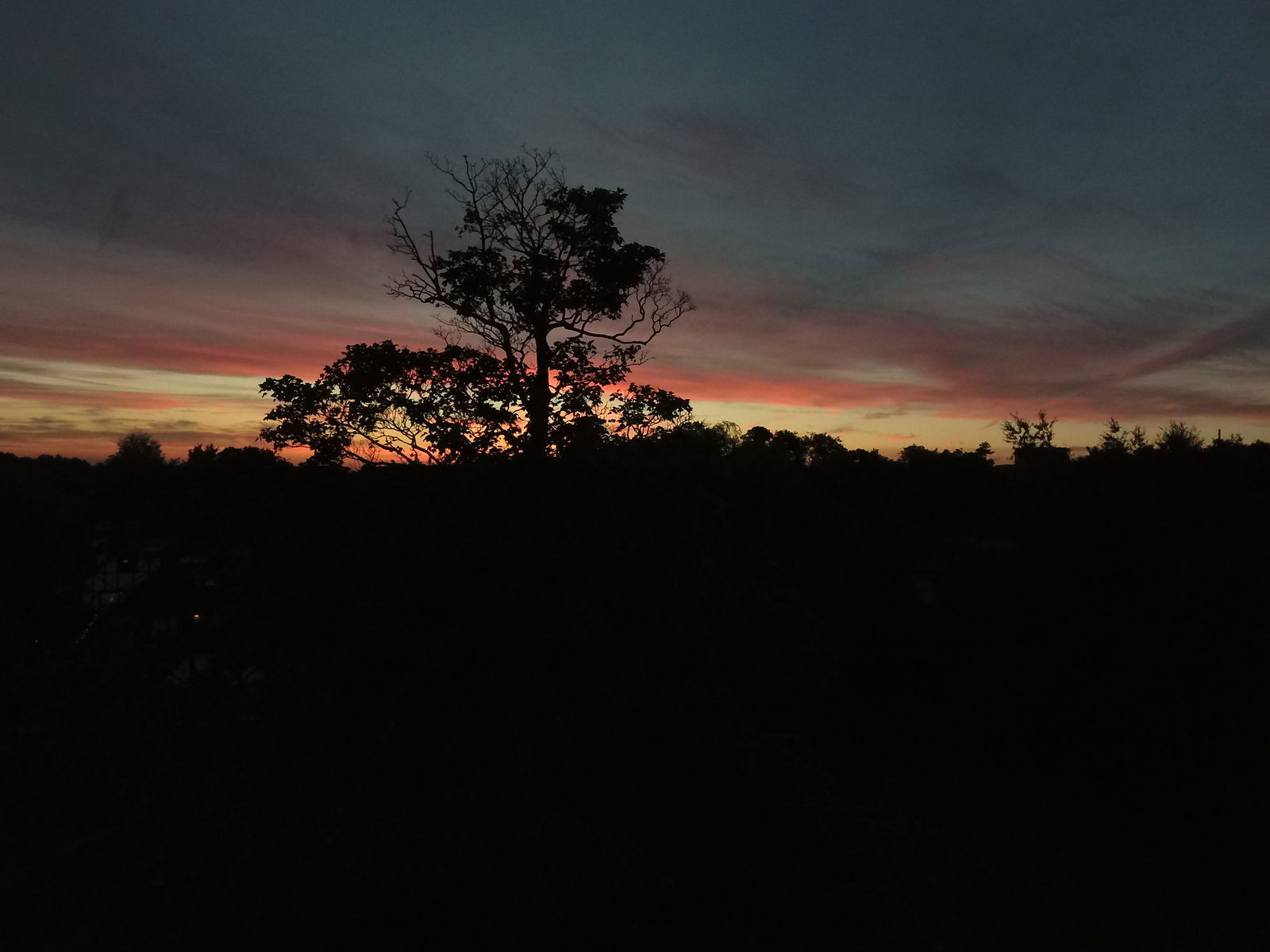 Quedarse En Casa Willesborough 187966