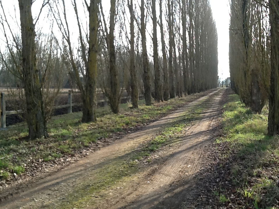 Estudio Independiente Saumur 209403