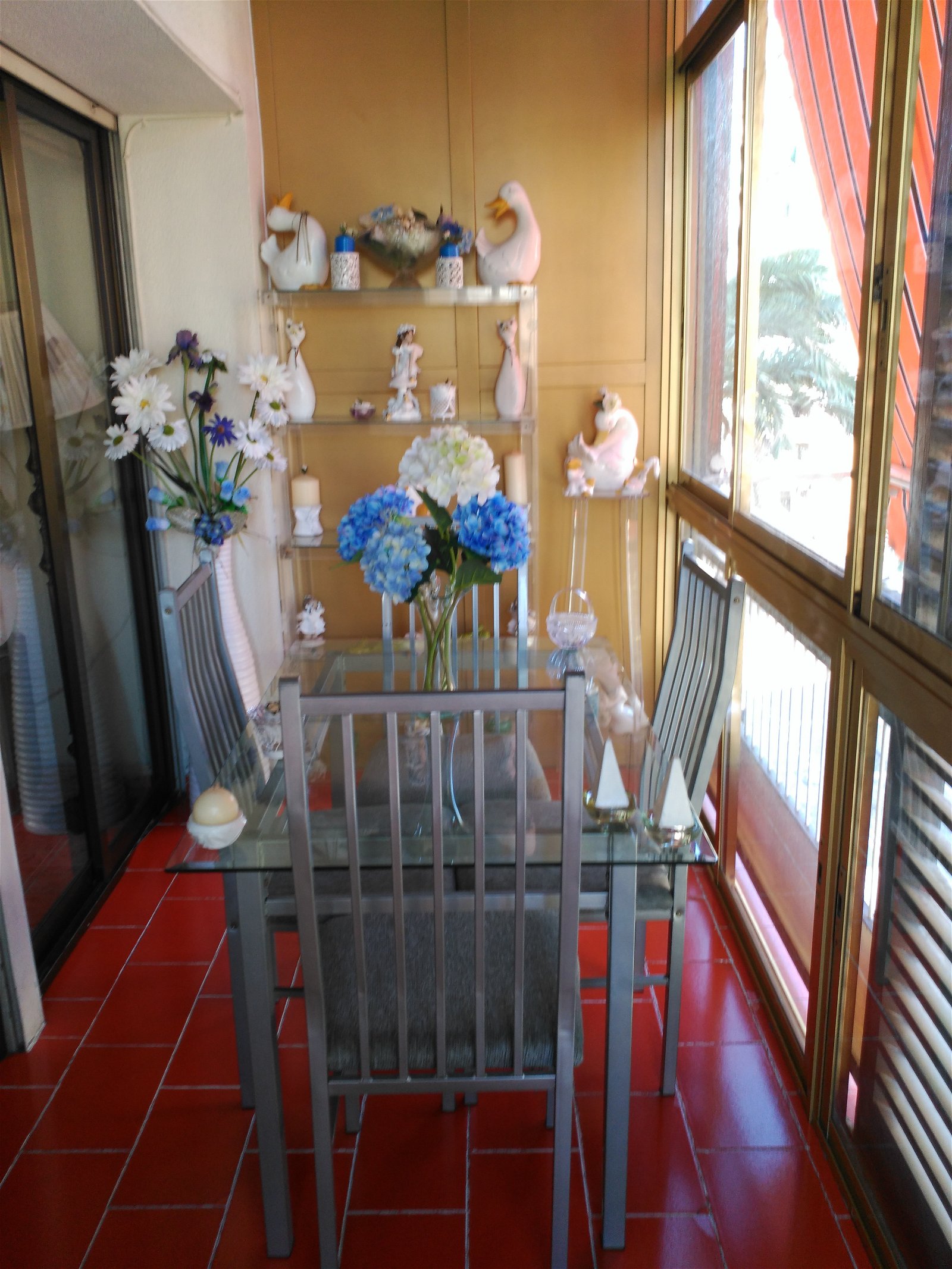 Quedarse En Casa Alacant 222295