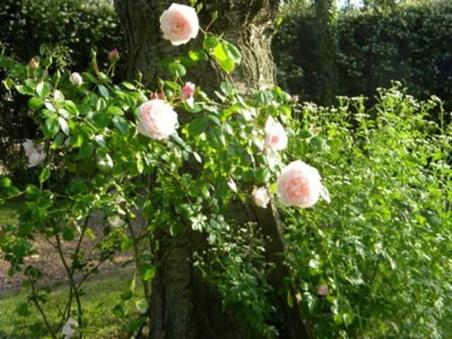 Habitaciones De Huéspedes Vaux-en-Amiénois 60738