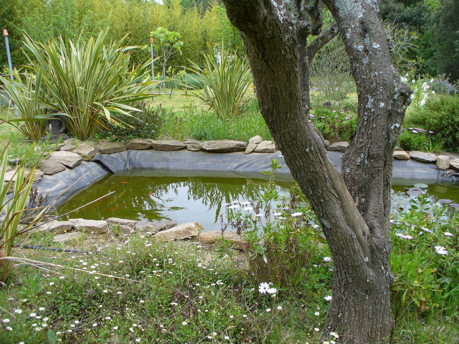 Habitaciones De Huéspedes Grimaud 98057