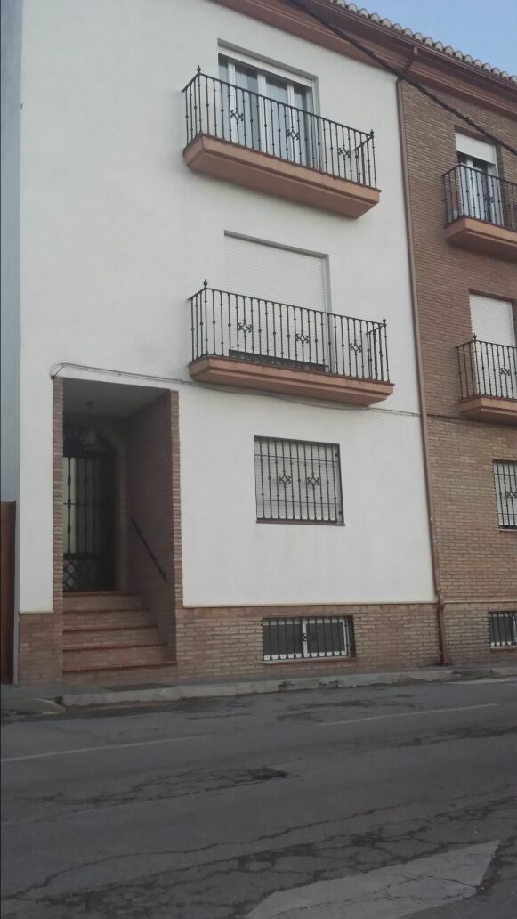 Estudio Independiente Alhendín 101745