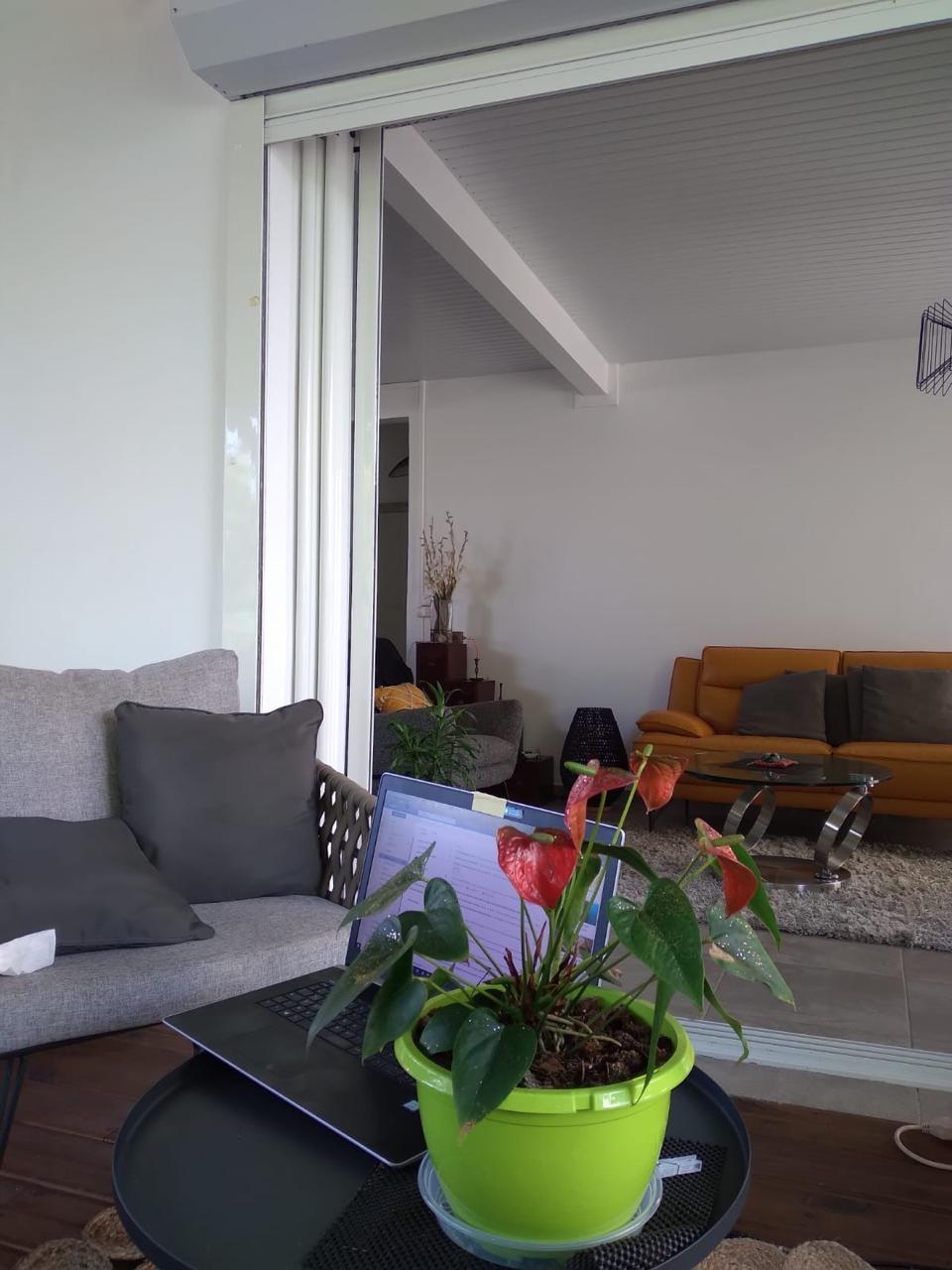 Colocación Schoelcher 256078