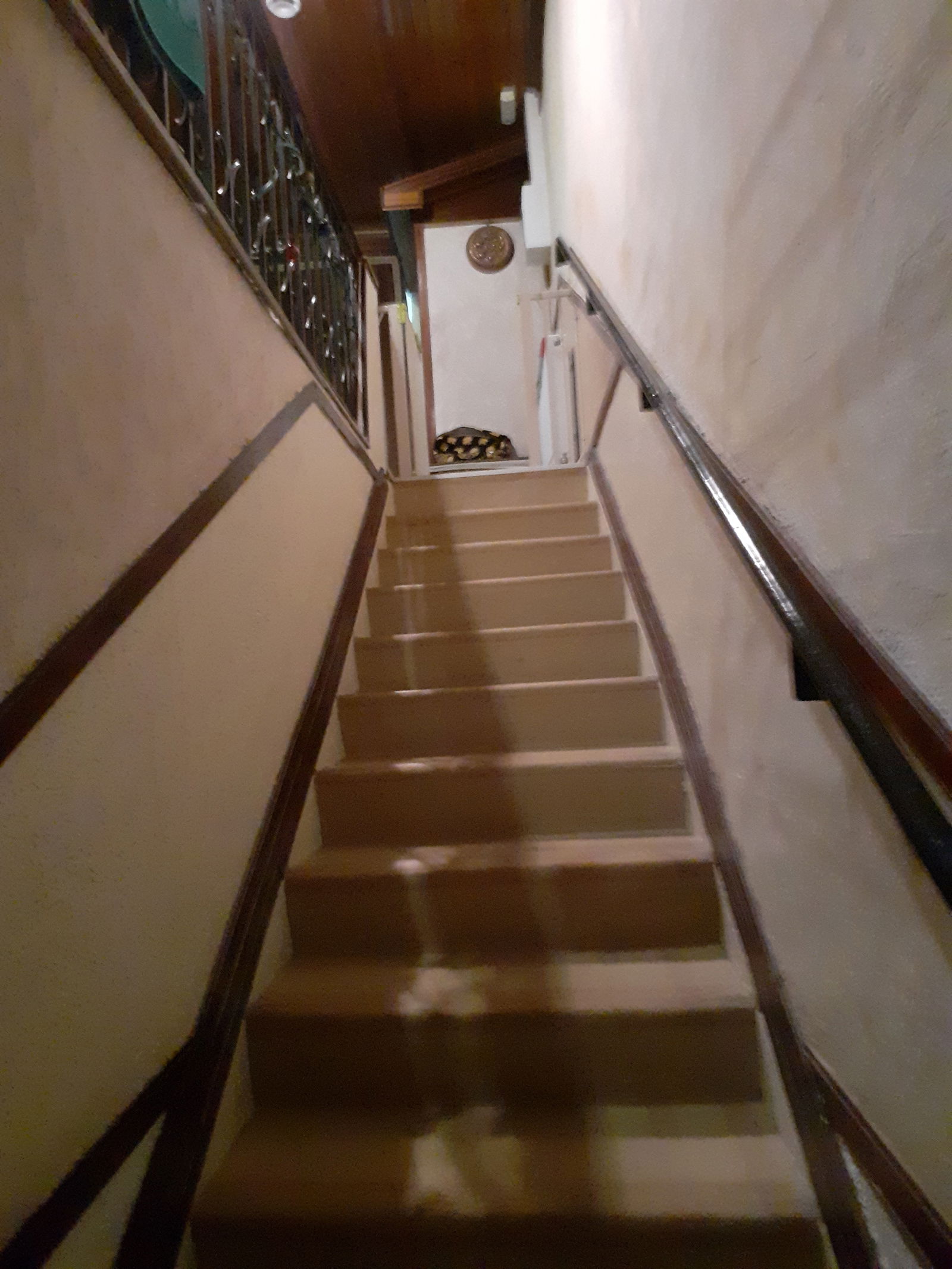 Estudio Independiente Le Menil 249997