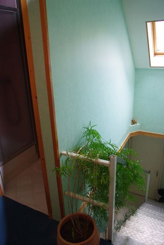 Habitaciones De Huéspedes Glennes 3829