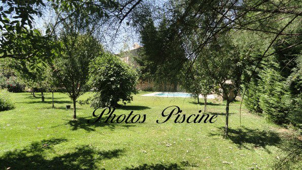 Estudio Independiente Tarascon 64132