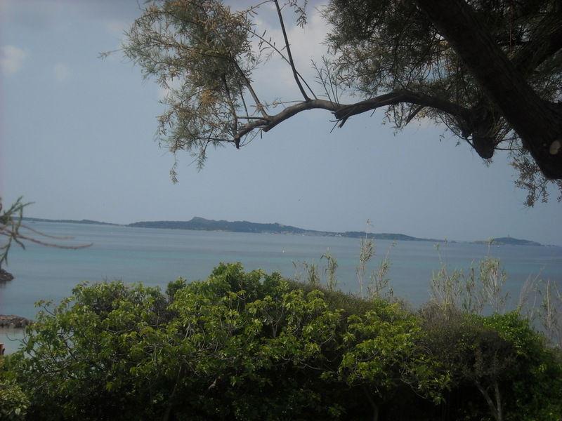 Estudio Independiente Six-Fours-les-Plages 119404