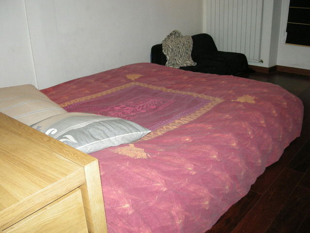 Estudio Independiente Paris 11394