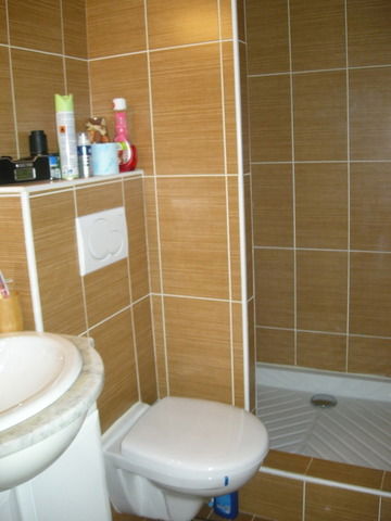 Estudio Independiente Paris 11394