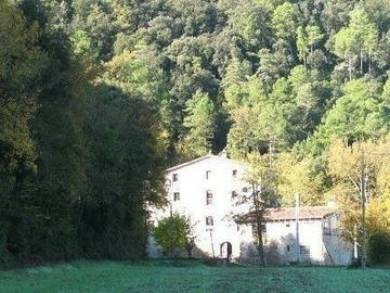 Habitación En Alquiler Sant Ferriol 157590