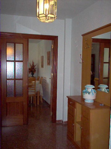 Colocación Granada 33866
