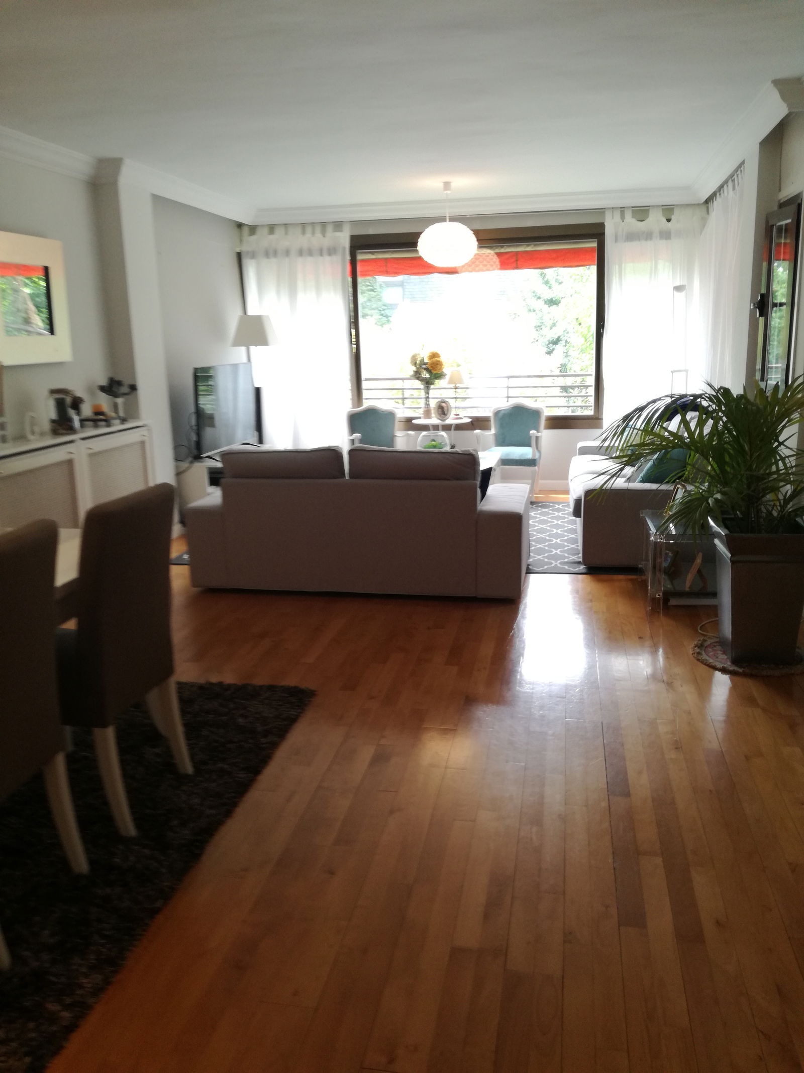 Gastfamilie Las Rozas 210298