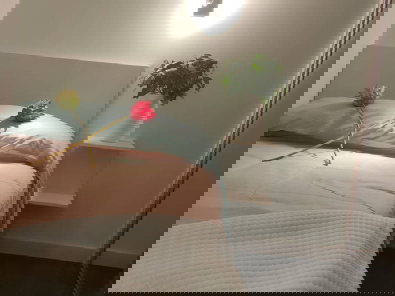 Colocación Salamanca 266719-1