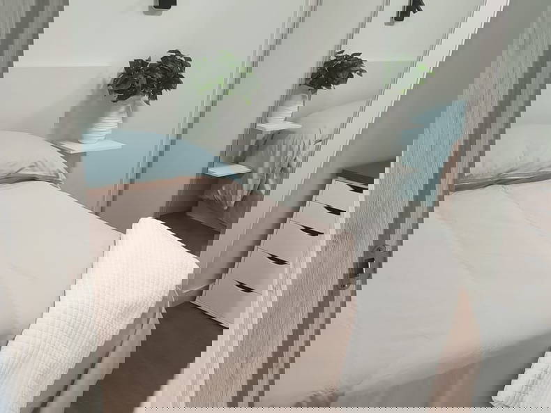 Colocación Salamanca 266719-3