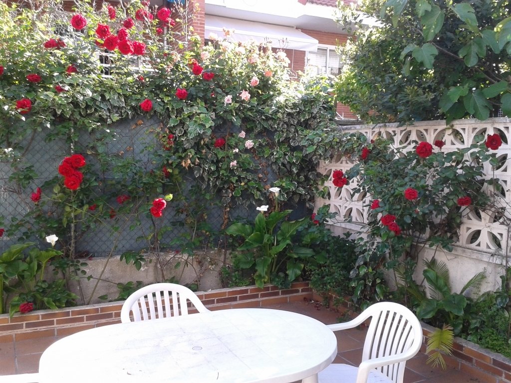 Colocación Villaviciosa de Odón 125798