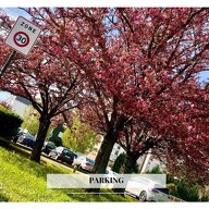Colocación Soisy-sous-Montmorency 456562